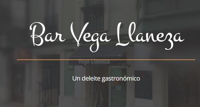 VEGA LLANEZA SL