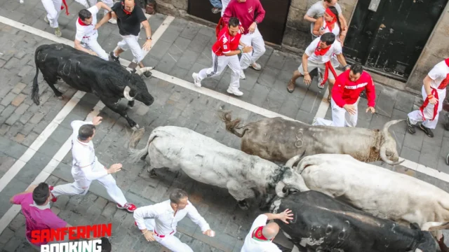 Sanfermin booking