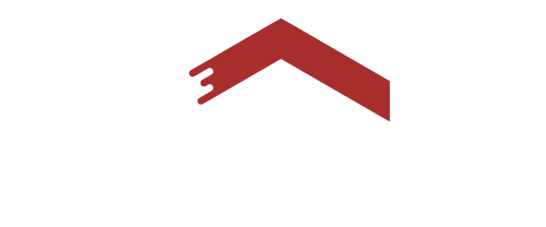 Ion Albu