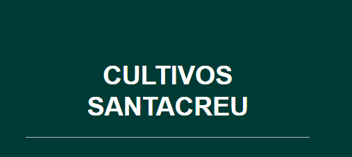 Cristina Santacreu Bardisa