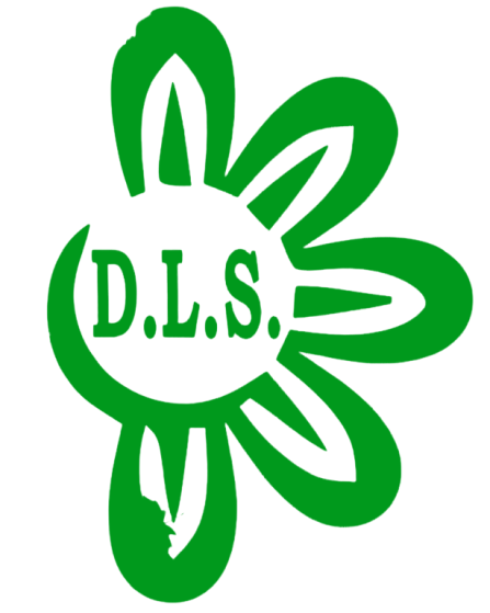 logo-nuevo-dls-multiservicios (1)